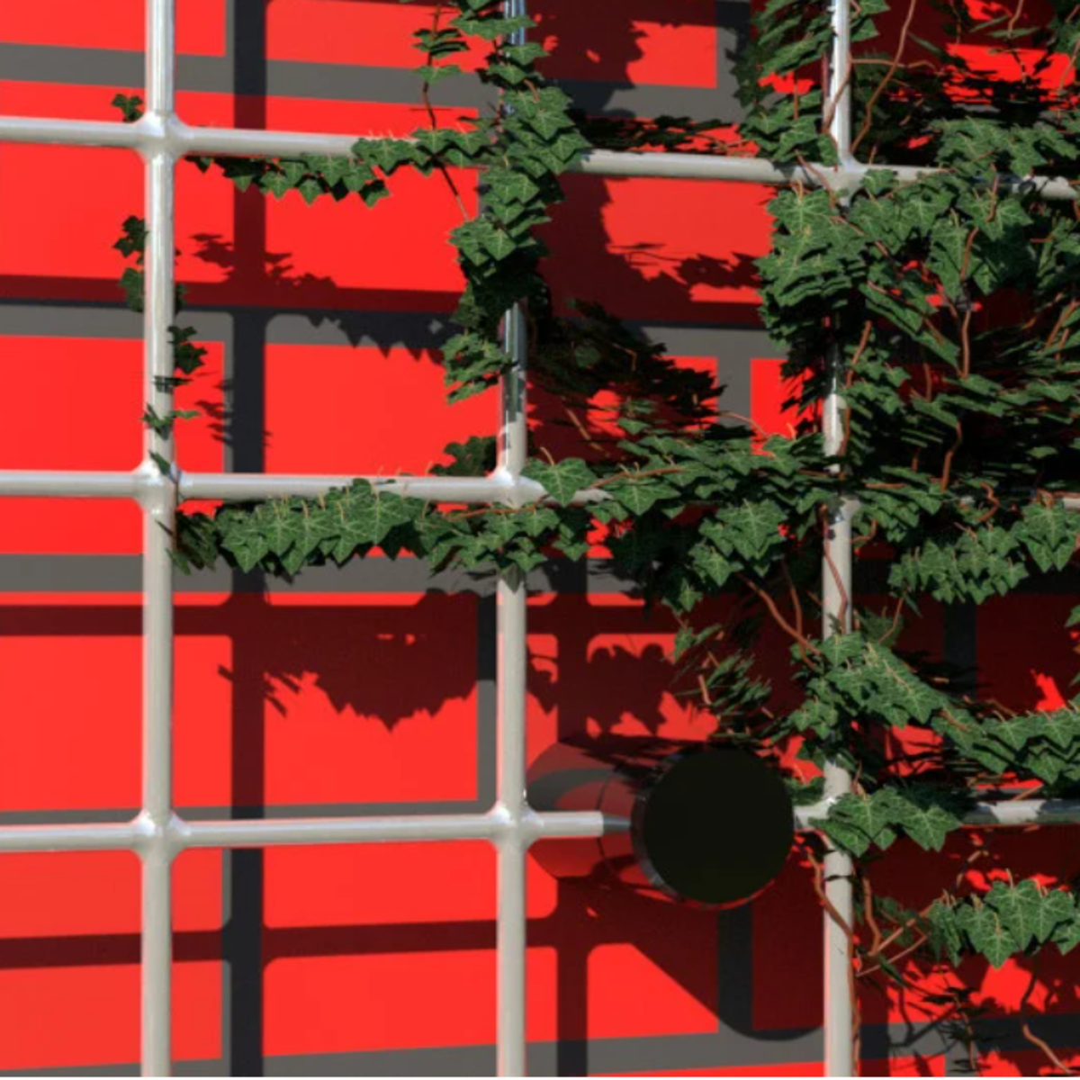 Afstandhouders Gaaspanelen 30mm Zwart set van 10 stuks