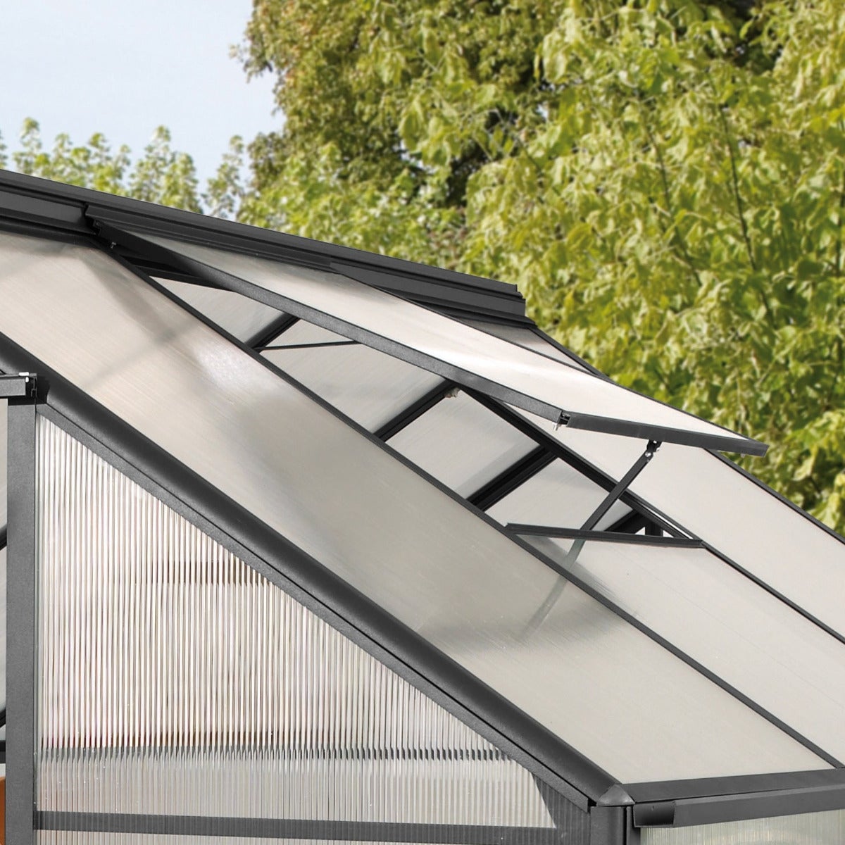 Vitavia Tuinkas Triton 3800 Aluminium Zwart 3,8 m² 