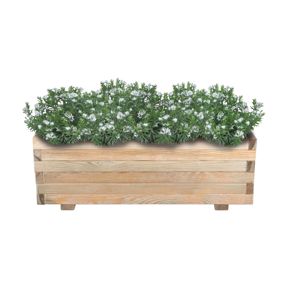 Plantenbakken