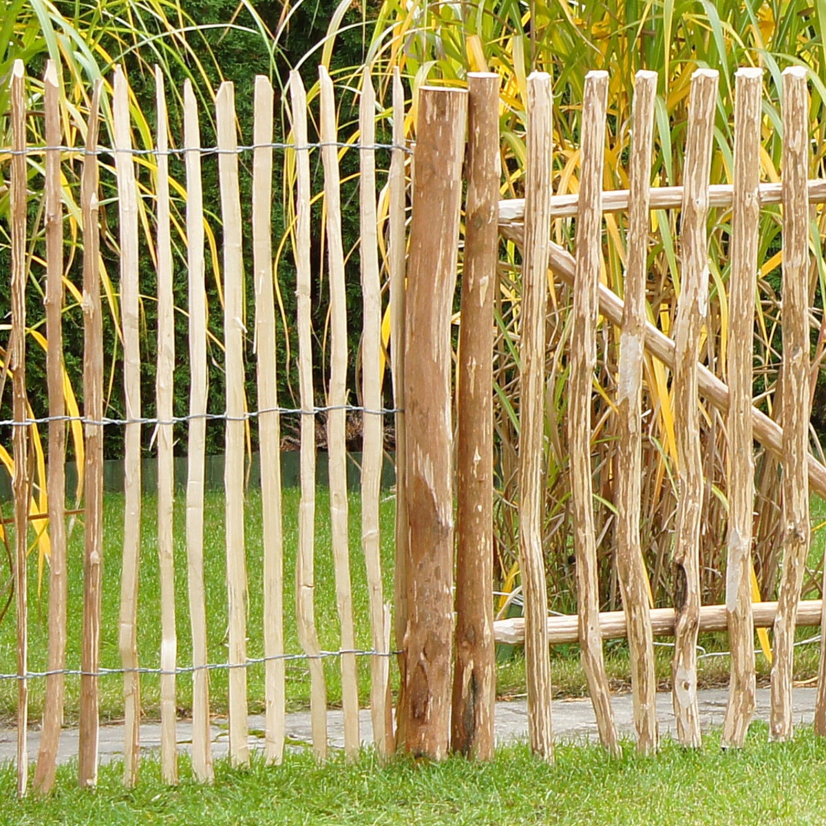 Geschilde Hazelaar Paal met Punt 150 cm Ø 6 - 10 cm
