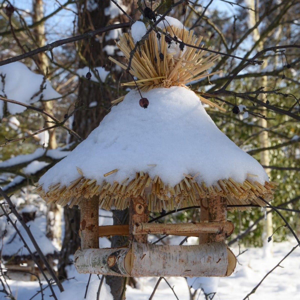 Vogelvoederhuis Rond Hangend van Berkenhout met Rieten Dak