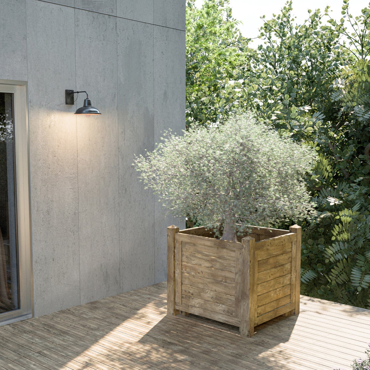 Plantenbak XL Olijfboom Olivier 100 x 100 x 100 cm