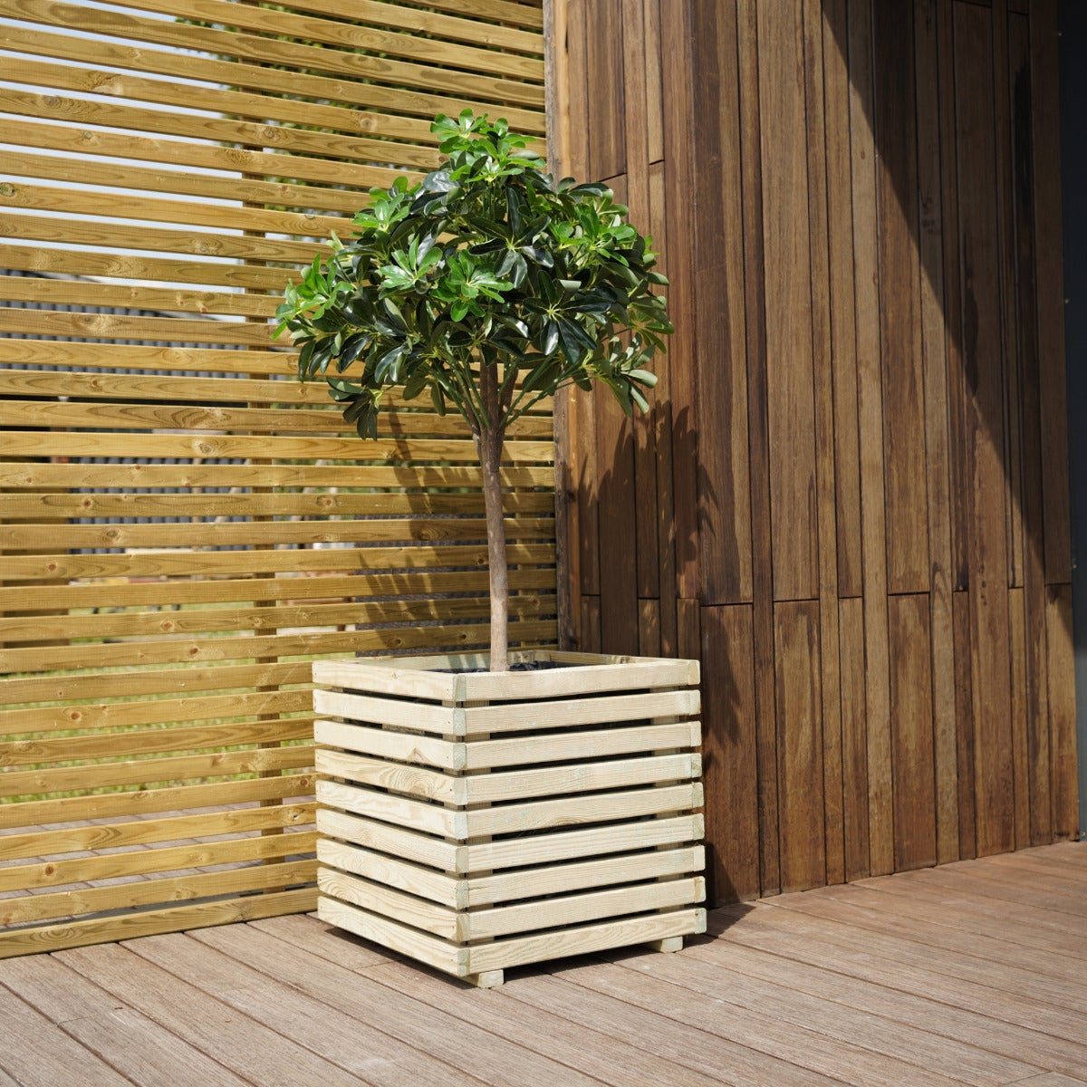 Plantenbak Kaapstad met Worteldoek Geïmpregneerd Grenen 50 x 50 cm