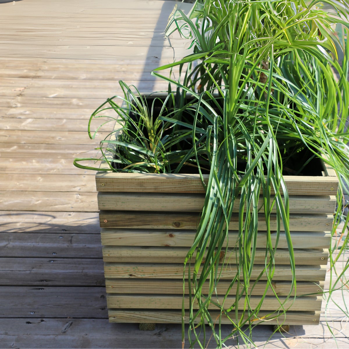 Plantenbak Kaapstad met Worteldoek Geïmpregneerd Grenen 60 x 60 cm