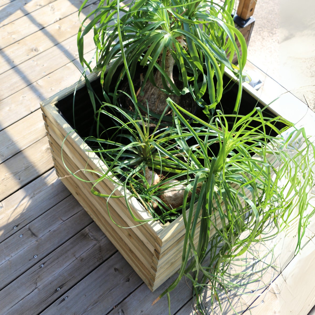 Plantenbak Kaapstad met Worteldoek Geïmpregneerd Grenen 60 x 60 cm