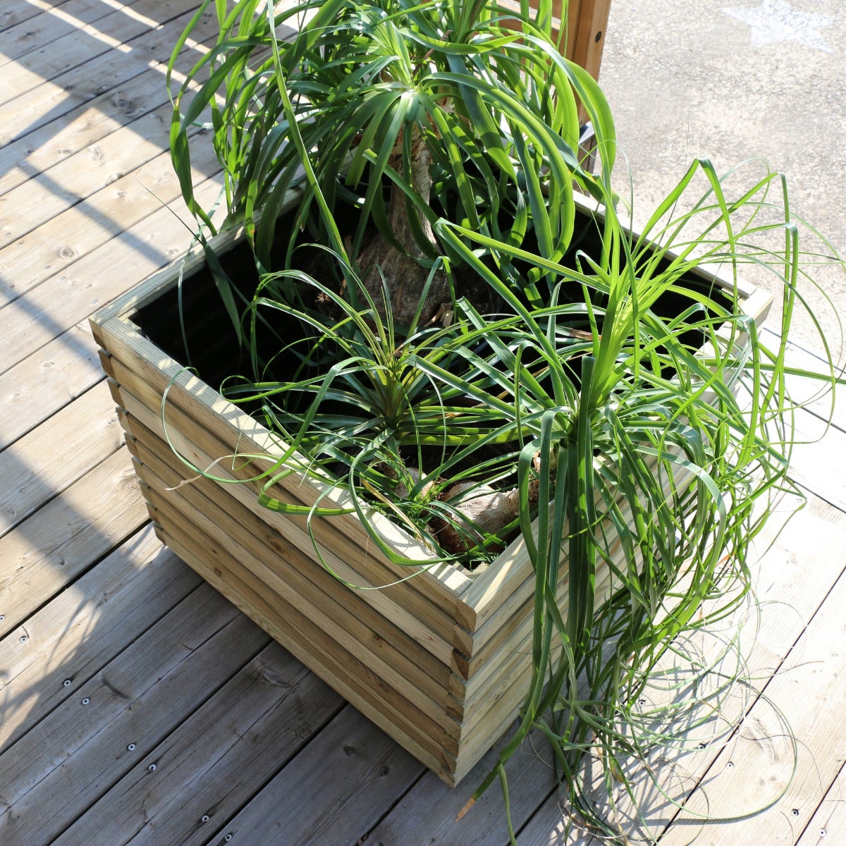 Plantenbak Kaapstad met Worteldoek Geïmpregneerd Grenen 60 x 60 cm