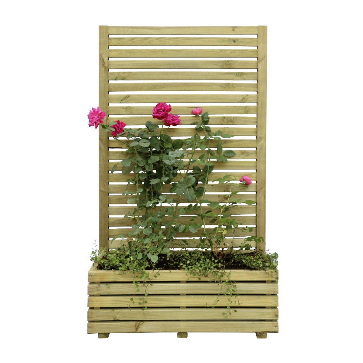 Plantenbak Kaapstad met Klimrek en Worteldoek Geïmpregneerd Grenen 80 x 40 cm