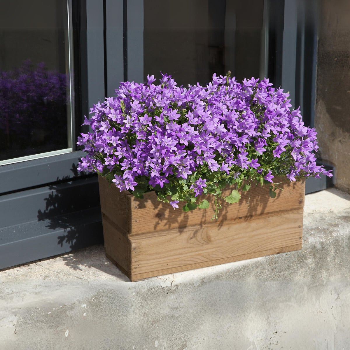 Plantenbak Geïmpregneerd Grenen 40 x 19 cm