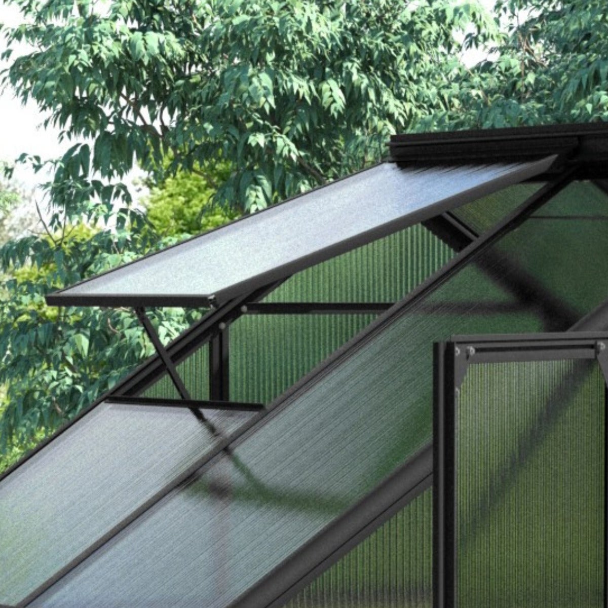 Vitavia Tuinkas Triton 2500 Aluminium Zwart 2,5 m²