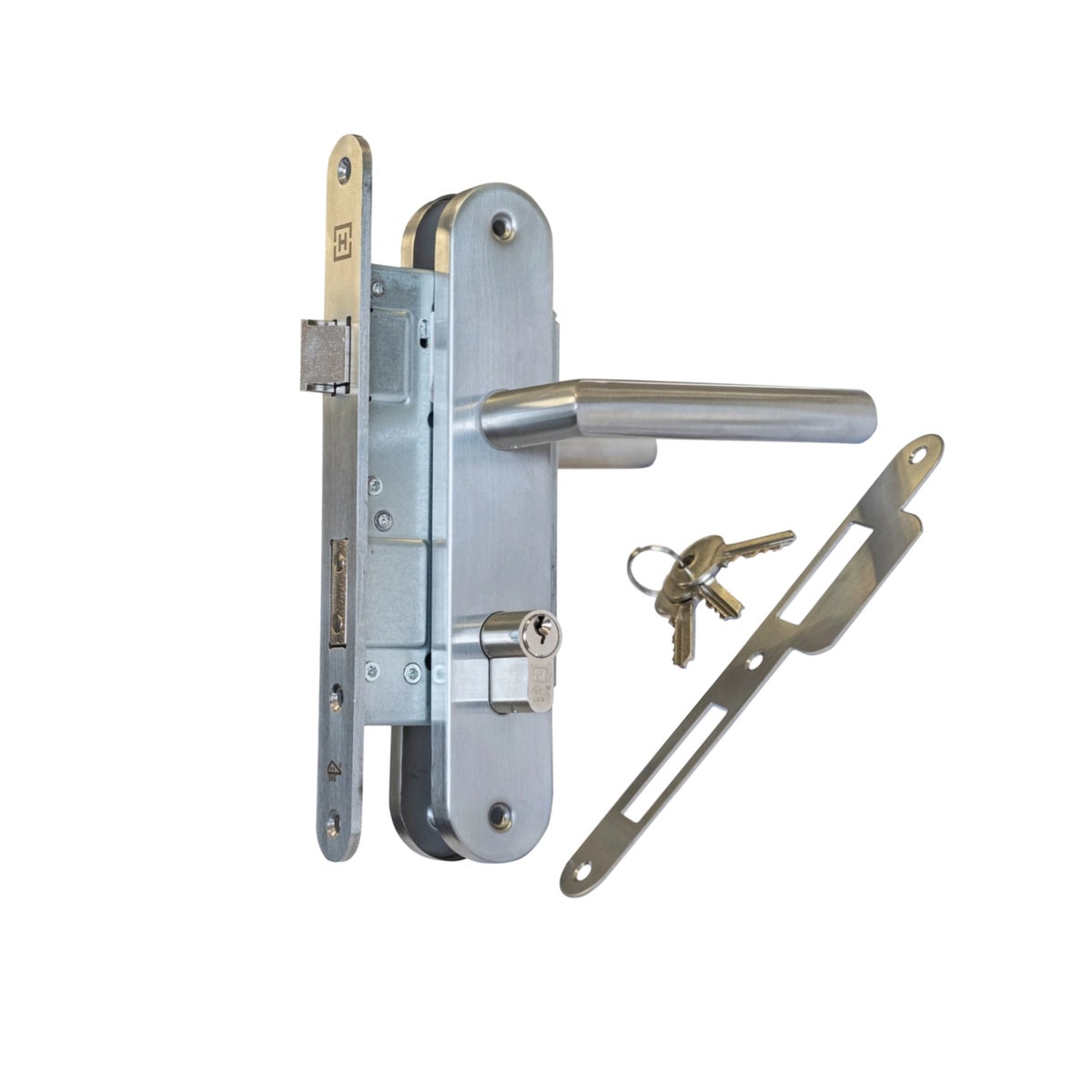 Tuinpoort Grenen 100x195cm met IJzeren Frame en Inbouwslot